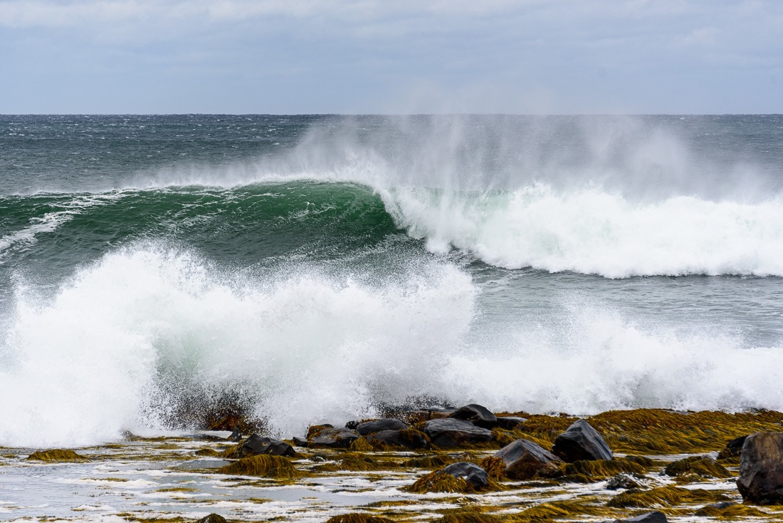 Fiona's kiss Fiona's kiss