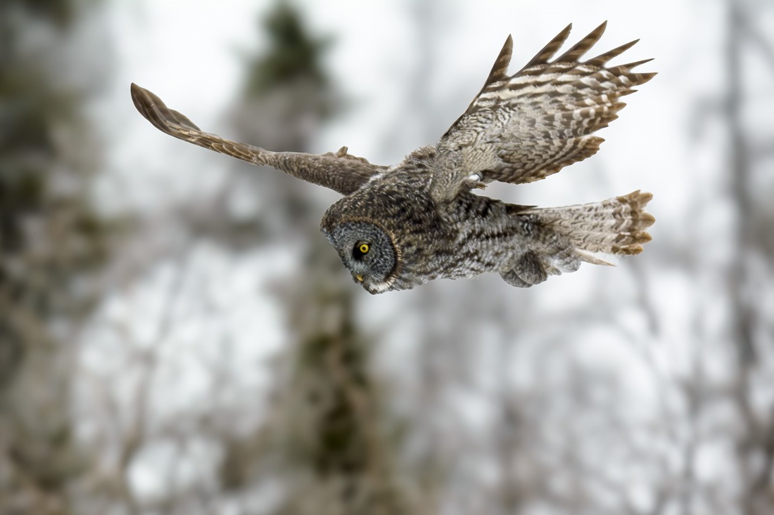 Coming in low Coming in low