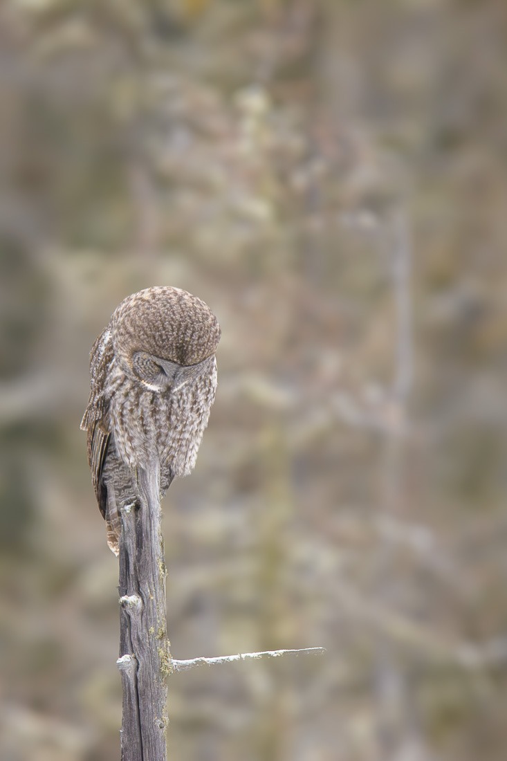 Anything down there? Anything down there?