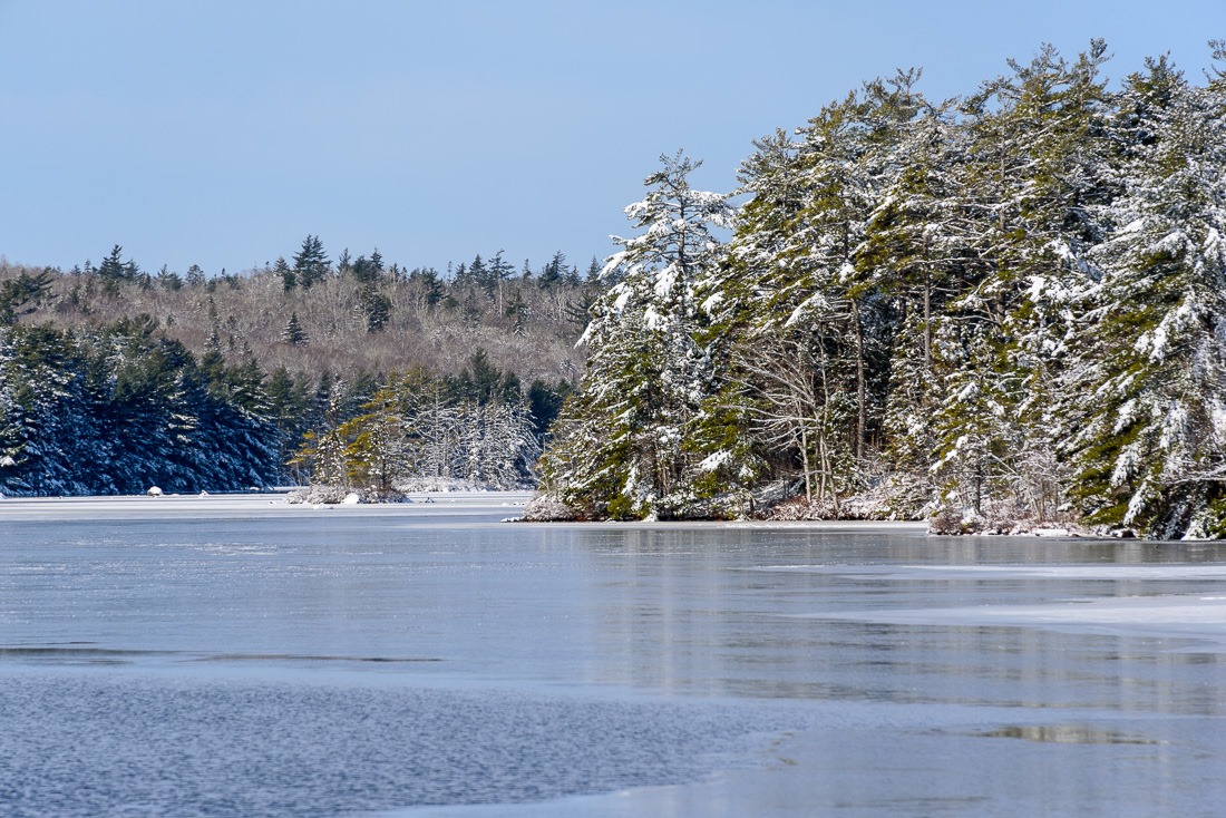 Wintry Light Wintry Light