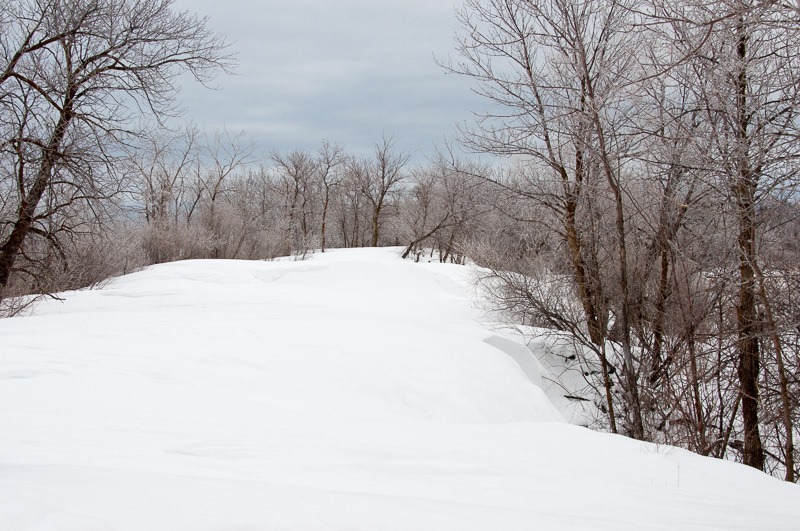 The road less travelled... The road less travelled...