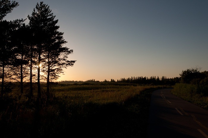 Like sun like summer Like sun like summer