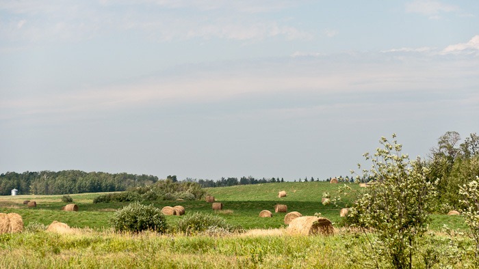 Old fashioned hills Old fashioned hills