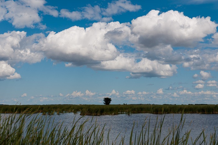 We are the wildlife We are the wildlife