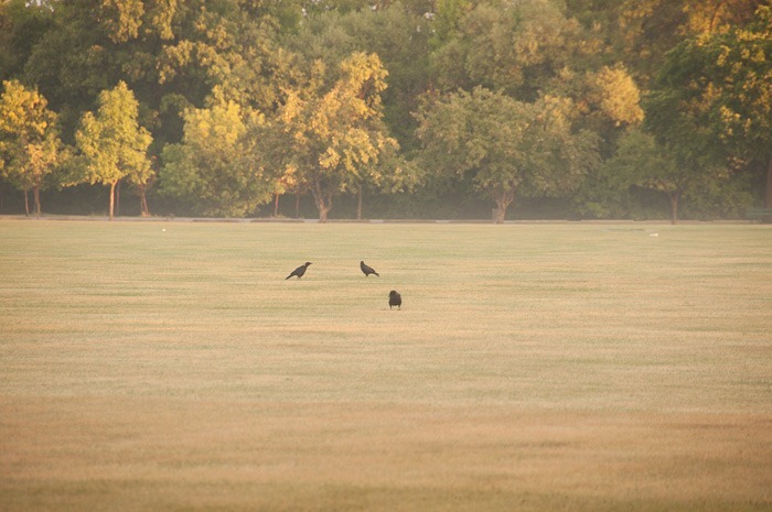 Morning mist Morning mist