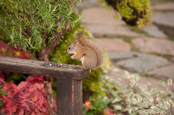 Playing flashy Playing flashy