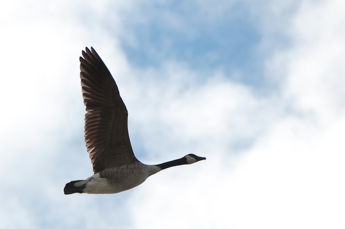 On her way On her way