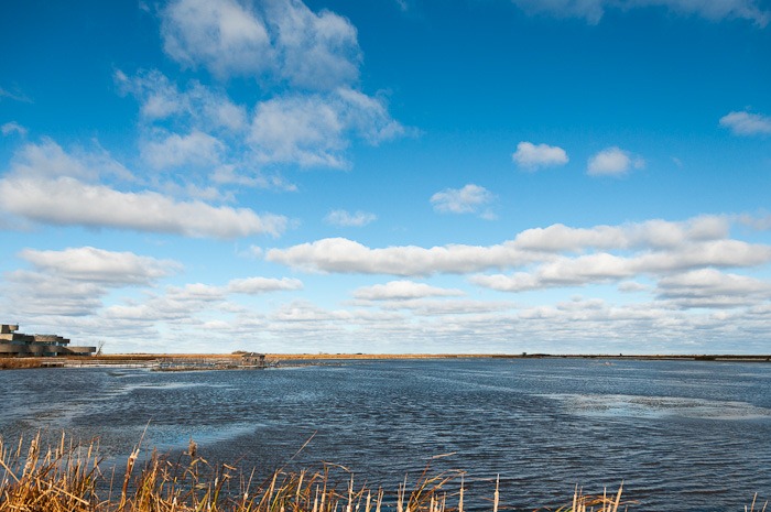 Visiting Oak Hammock Marsh