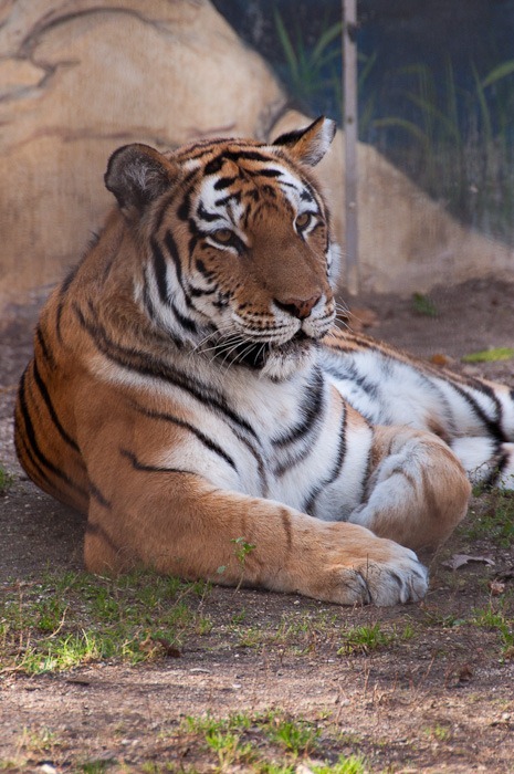 Relaxing vigilantly Relaxing vigilantly