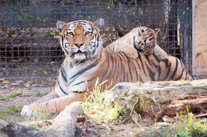 Hmmm, mama burger today! Hmmm, mama burger today!
