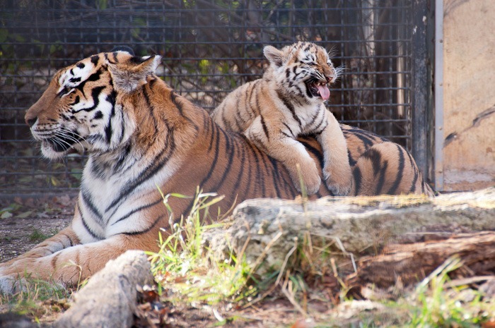 Bleh, not tasty! Bleh, not tasty!