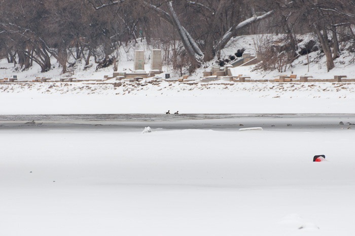 Open water Open water