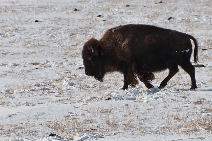 Well equipped for cold Well equipped for cold
