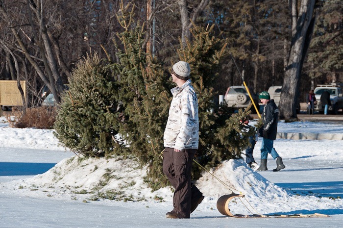 Transportation Transportation