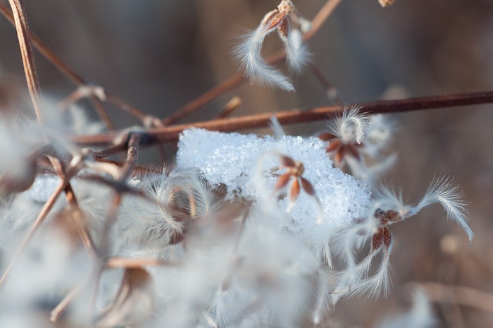 Still frosty Still frosty