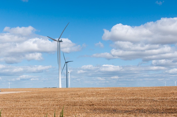 There are 73 of these There are 73 of these