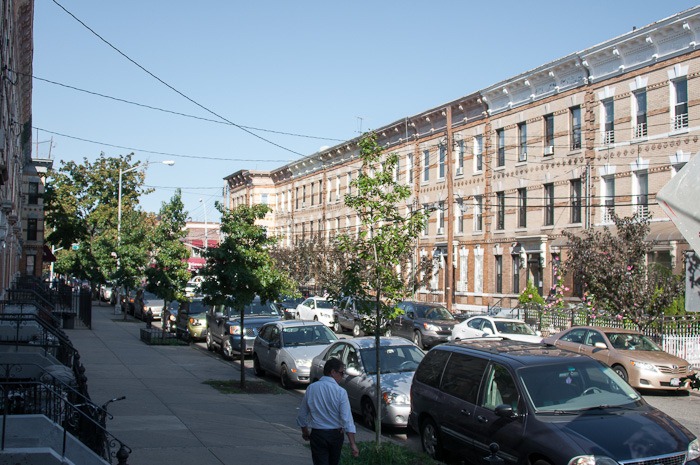 Greenery in the streets