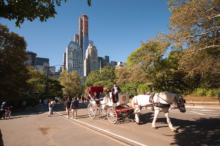 Typical New York transport
