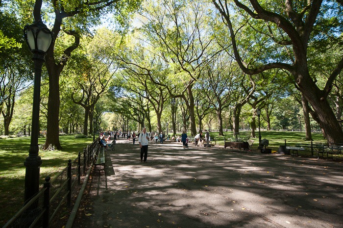 Central Park