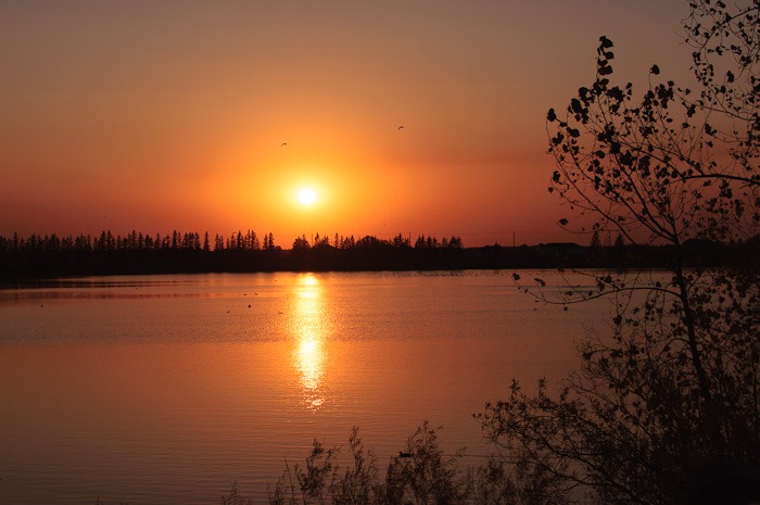 Goosy sunset Goosy sunset