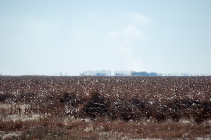 Shimmering hot by +8C