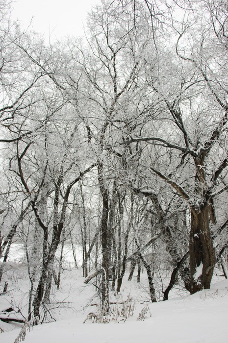 Wilderness without Fort Gibraltar, or a view of the Red River Wilderness without Fort Gibraltar, or a view of the Red River