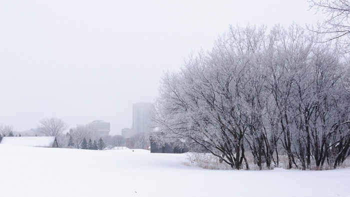 Winnipeg today Winnipeg today