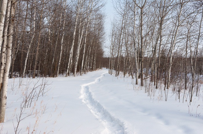 Inviting trail Inviting trail
