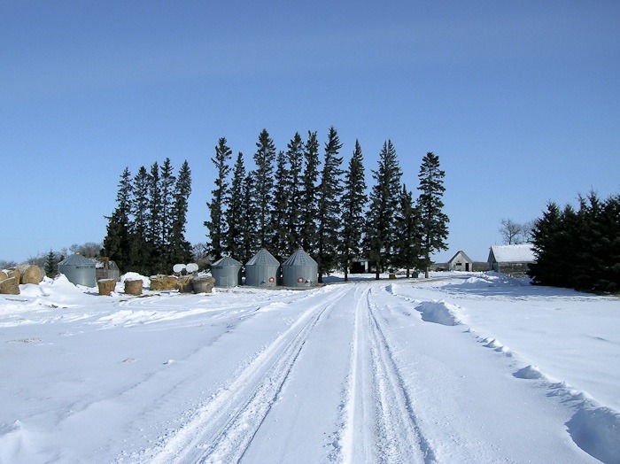 Originally a picture with far too much blue Originally a picture with far too much blue