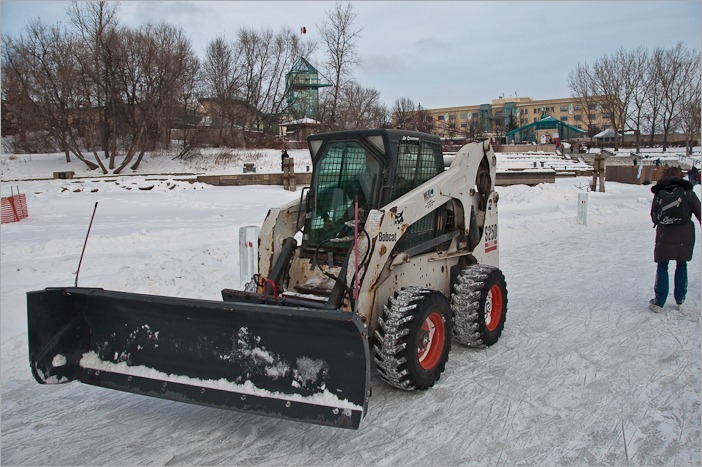 Bobcat on ice Bobcat on ice