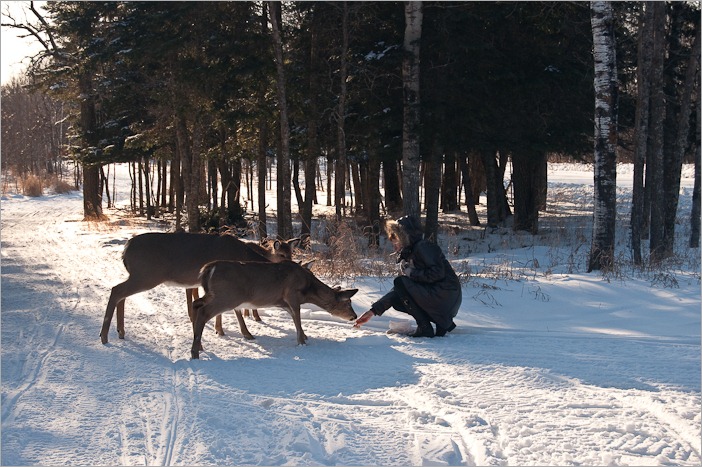 Feeding the family Feeding the family