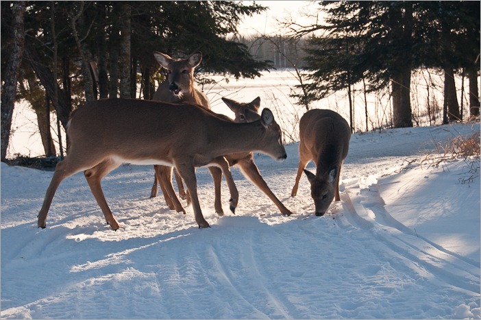 Nothing left? Nothing left?