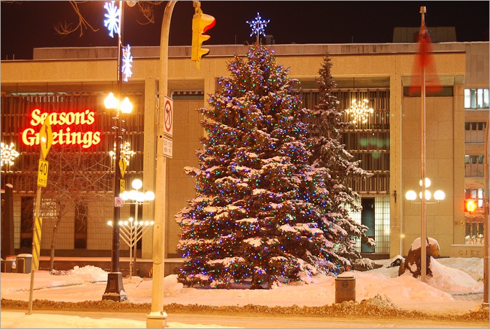 Season’s Greetings by night Season’s Greetings by night