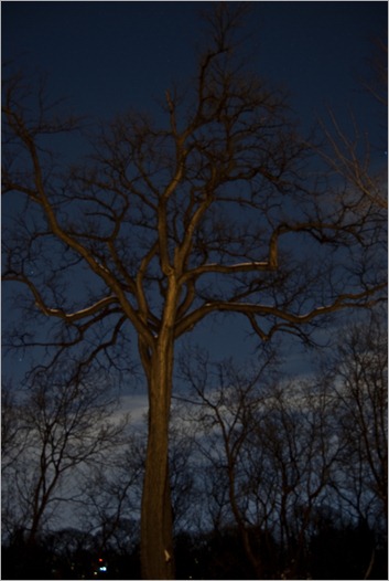 No light by night No light by night