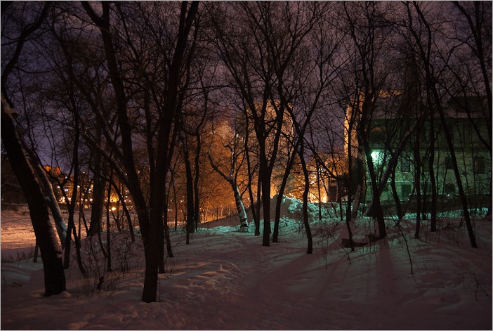 Lighting in Munson Park Lighting in Munson Park