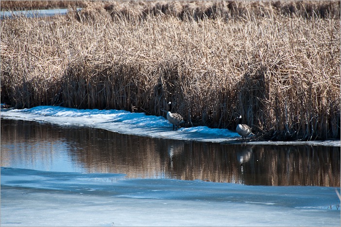 A starting couple, perhaps. A starting couple, perhaps.