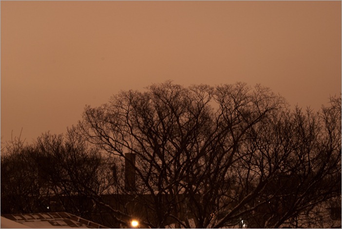 Snow by night Snow by night