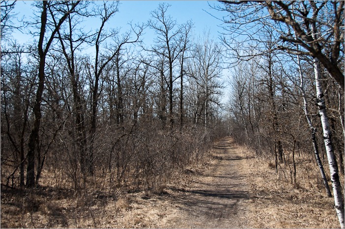 The trails in the Assiniboine Forest The trails in the Assiniboine Forest