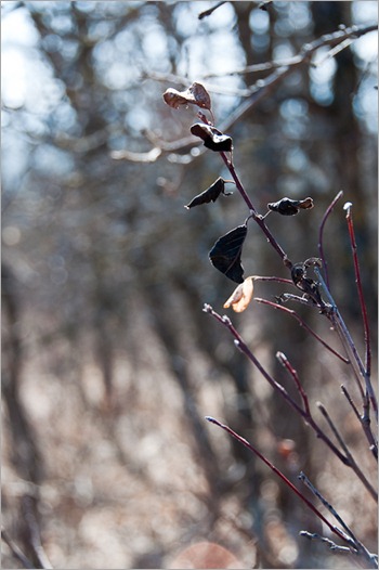 As expected As expected