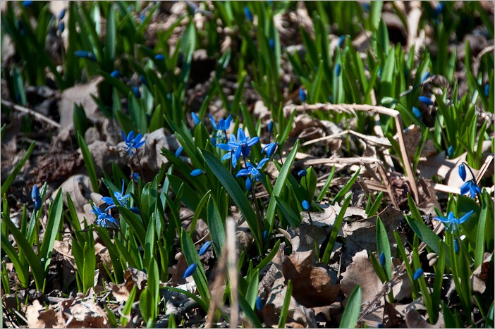 Scylla in the sun Scylla in the sun