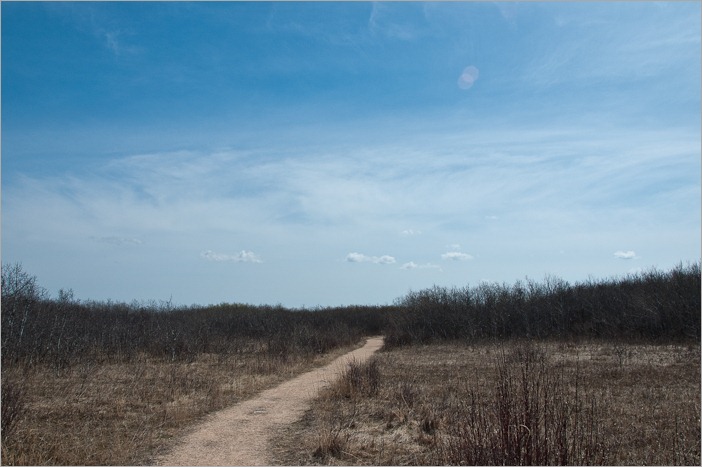 A limestone type vegetation A limestone type vegetation