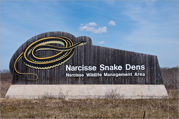 Narcisse Snake Dens Narcisse Snake Dens