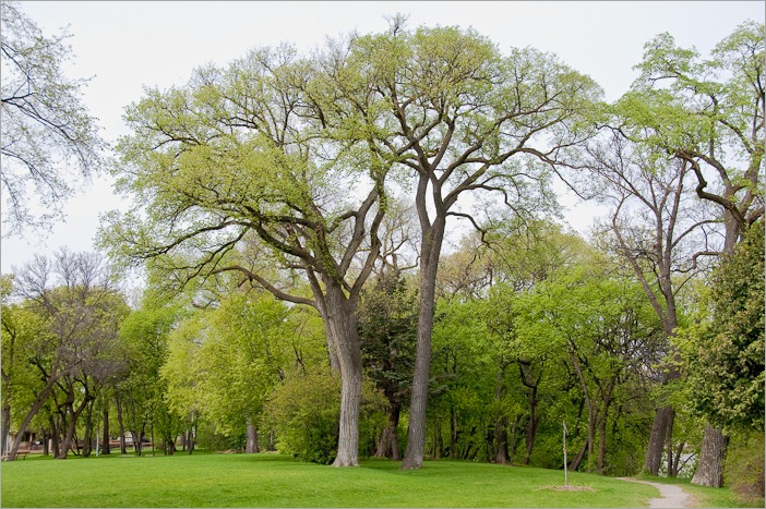 Green, at last Green, at last