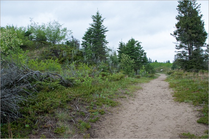 Green all over Green all over