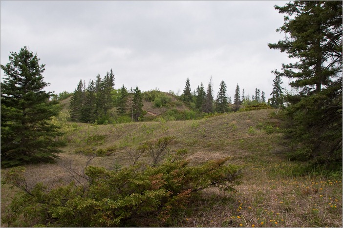 Little by little the landscape changes Little by little the landscape changes