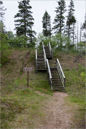 Little ladder Little ladder