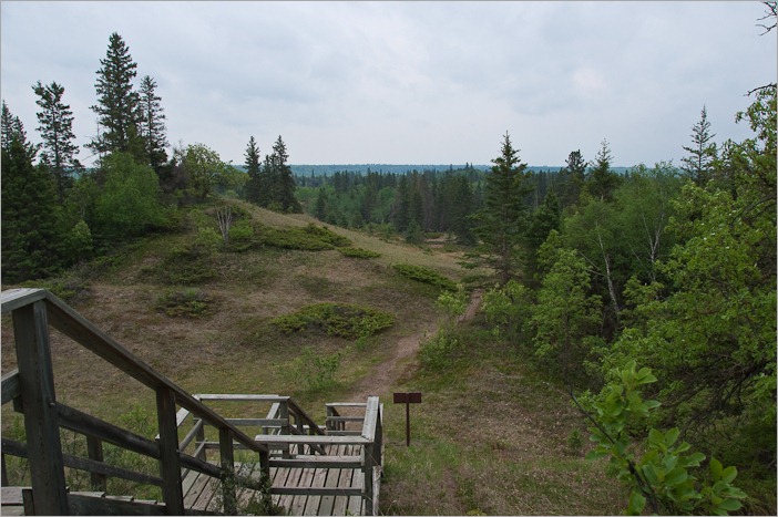 Still green Still green