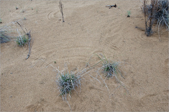 Sand in all its beauty Sand in all its beauty