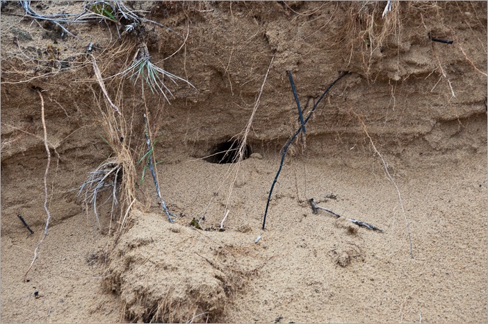 Buried deep Buried deep