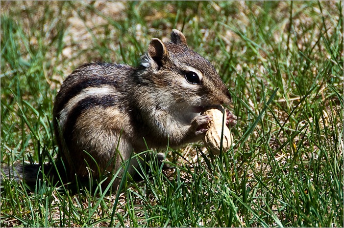 Guest at the table Guest at the table